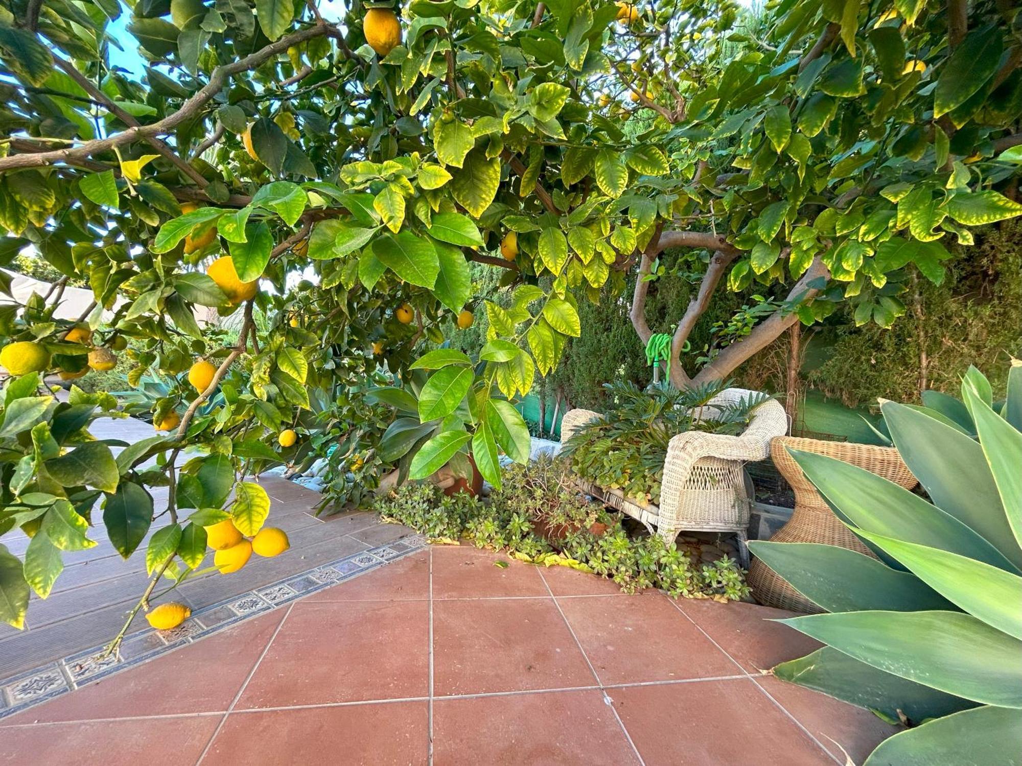Casa Luna Llena Calp Dış mekan fotoğraf